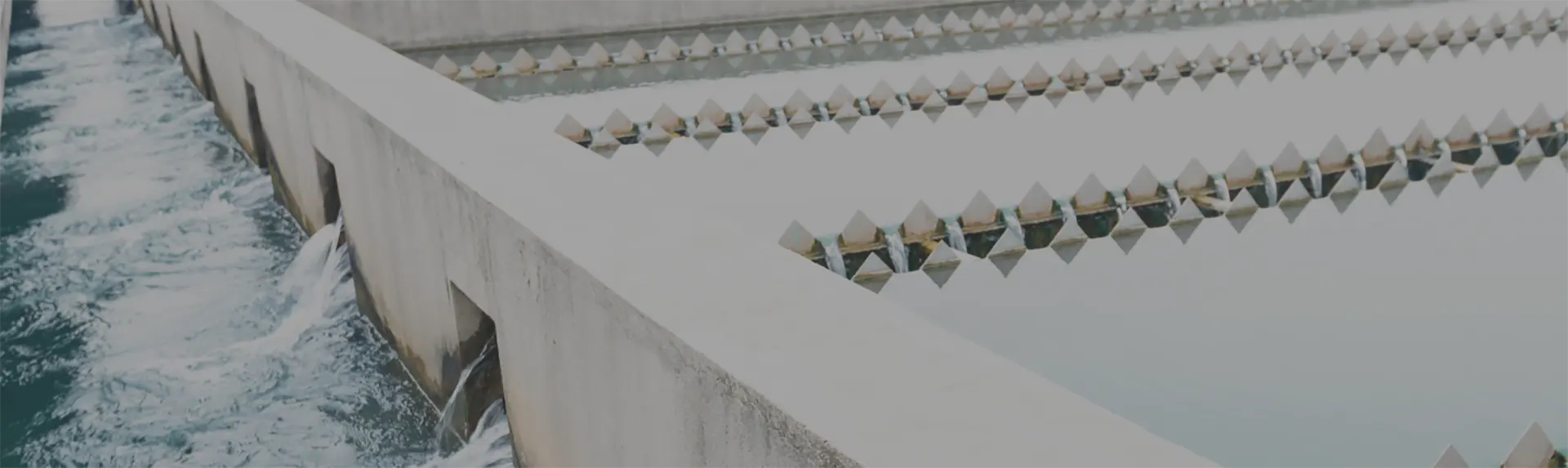 foodserviceapme about production