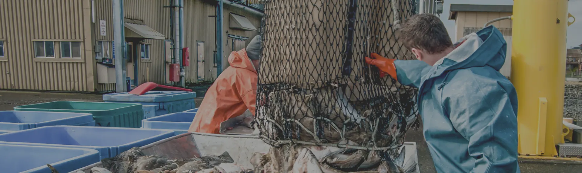 foodserviceapme Supplier